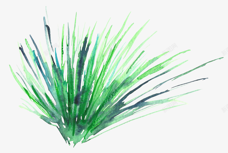 绿草png免抠素材_88icon https://88icon.com 手绘绿草 植物 水彩植物 绿色 草丛
