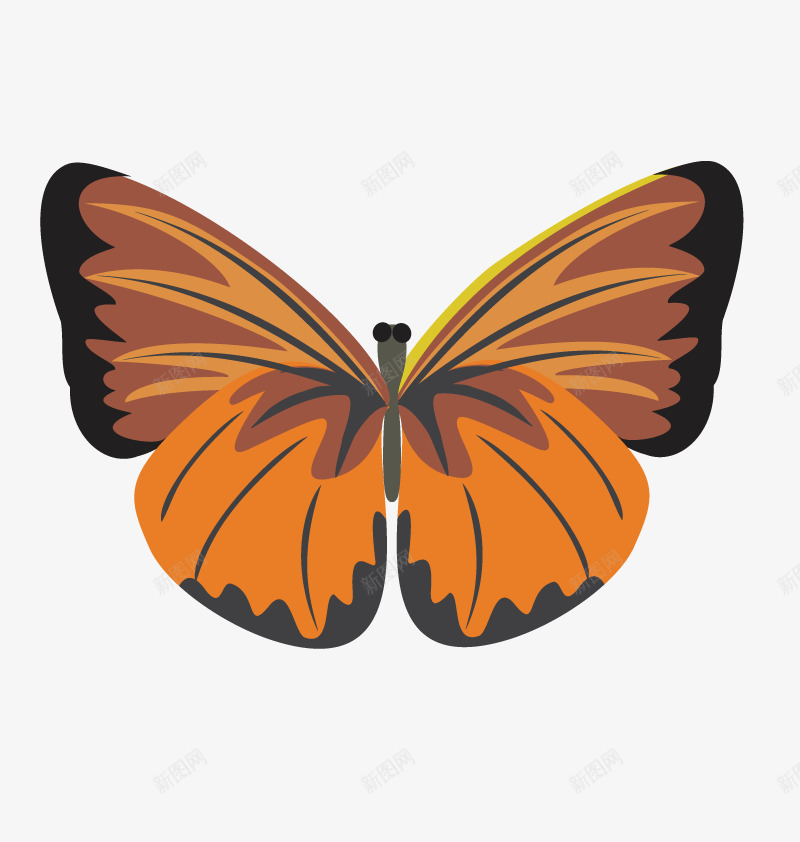一只蝴蝶png免抠素材_88icon https://88icon.com 手绘 昆虫 枯叶蝶 碟