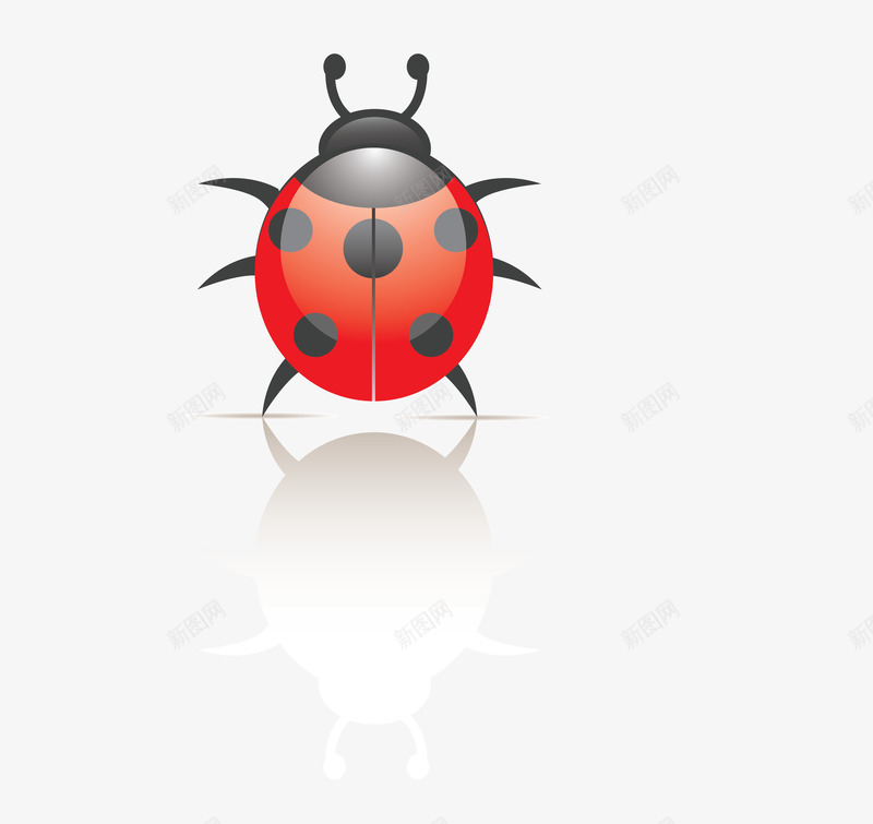 卡通红色昆虫七星瓢虫png免抠素材_88icon https://88icon.com 七星瓢虫 卡通 昆虫 红色