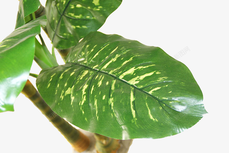 绿色芭蕉树叶png免抠素材_88icon https://88icon.com 树木装饰 热带植物 绿叶 芭蕉树叶