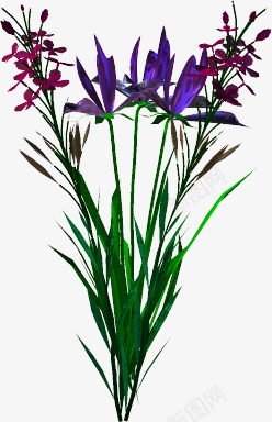花草ps创意花卉png免抠素材_88icon https://88icon.com 卡通 手绘 线描花卉 花卉 花卉插画 花卉素材 鲜花花卉