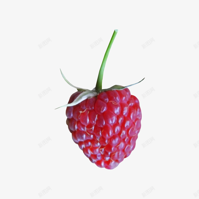 红色树莓装饰png免抠素材_88icon https://88icon.com 树莓 植物 装饰 贴图