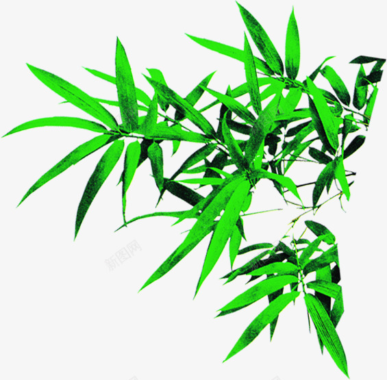 绿色清爽竹叶夏天png免抠素材_88icon https://88icon.com 夏天 清爽 竹叶 绿色