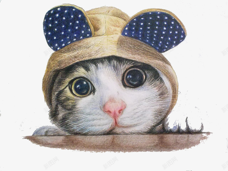 彩铅猫咪png免抠素材_88icon https://88icon.com 彩铅猫咪 手绘 猫咪