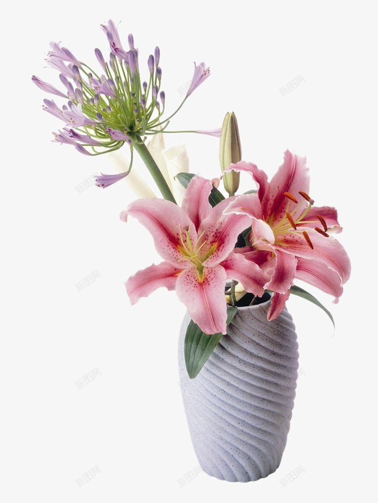 百合桌花png免抠素材_88icon https://88icon.com 桌花 植物 百合花 粉色百合 花卉 装饰 鲜花