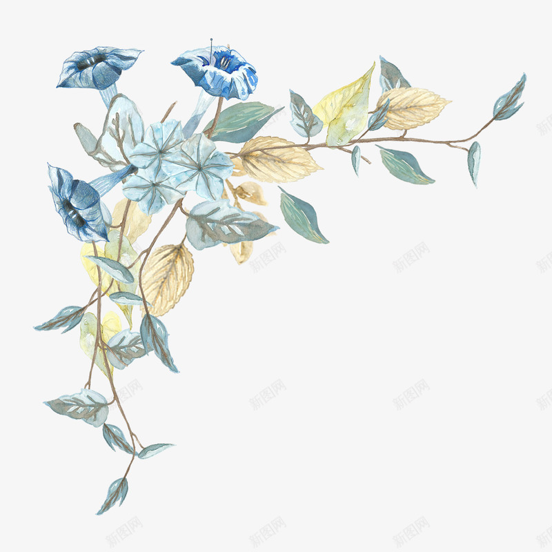 蓝色手绘的喇叭花png免抠素材_88icon https://88icon.com 叶子 喇叭花 手绘植物 植物 绿叶 绿植 花朵
