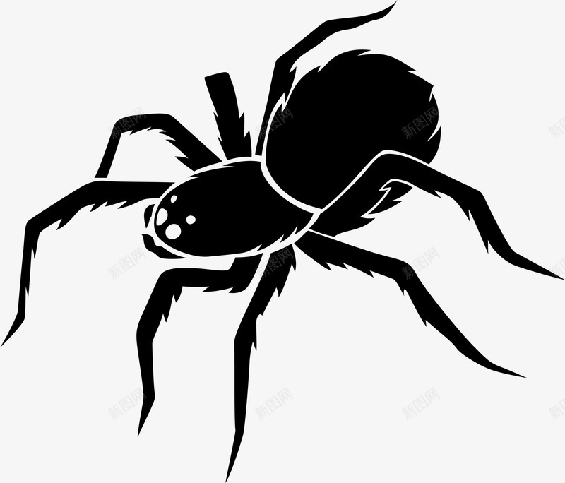 黑色恐怖蜘蛛png免抠素材_88icon https://88icon.com 万圣节 妖魔鬼怪 恐怖虫子 惊悚恐怖 昆虫 装饰图案 鬼节 黑色蜘蛛