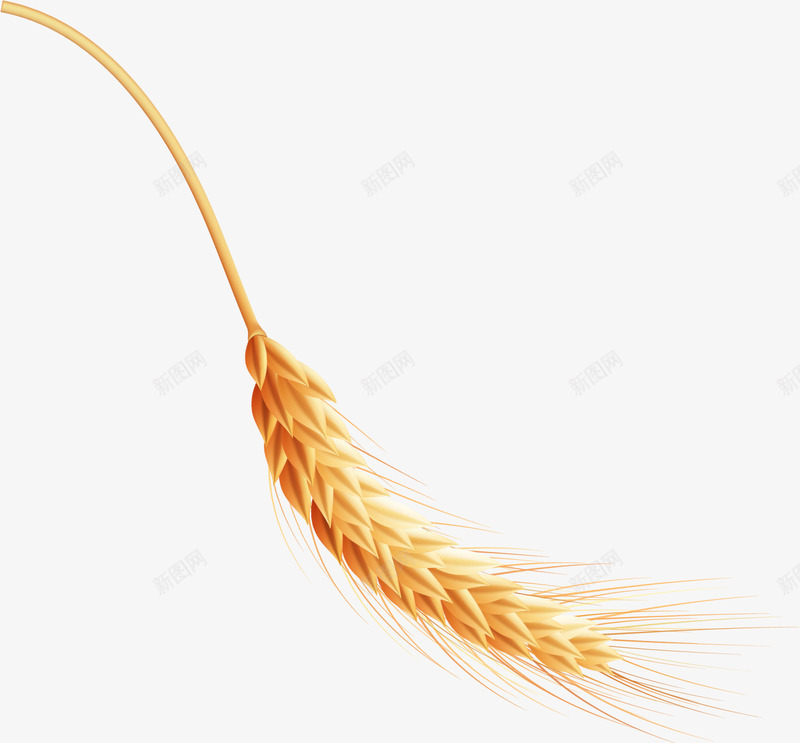 黄色清新稻穗png免抠素材_88icon https://88icon.com 植物 清新 稻穗 装饰图案 谷物 金色麦穗 食物 黃色稻穗 黄色