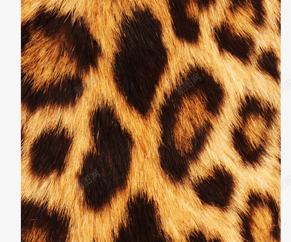 皮质纹理png免抠素材_88icon https://88icon.com 动物 皮 皮质纹理 纹理 贴图