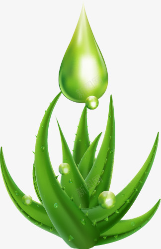 芦荟精华png免抠素材_88icon https://88icon.com 提取物 植物精华 绿色 芦荟 芦荟精华