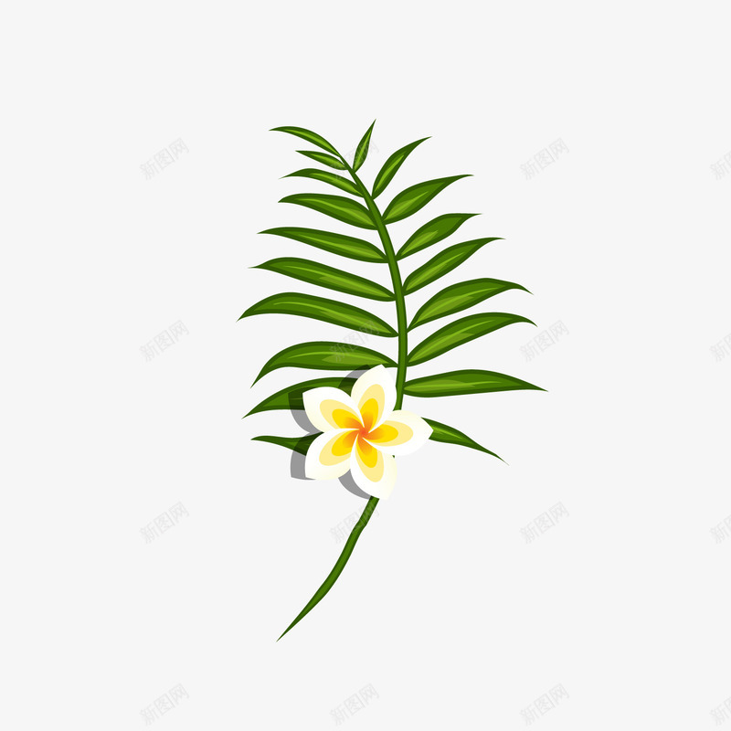 小清新植物叶子鸡蛋花png免抠素材_88icon https://88icon.com 卡通植物 小清新植物 白色花朵 绿色植物 鸡蛋花