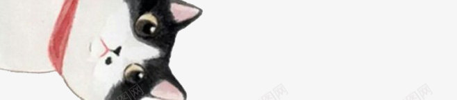 白色可爱手绘猫咪png免抠素材_88icon https://88icon.com 可爱 手绘 猫咪 白色