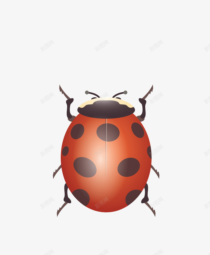 红色昆虫七星瓢虫png免抠素材_88icon https://88icon.com 七星瓢虫 昆虫 矢量七星瓢虫