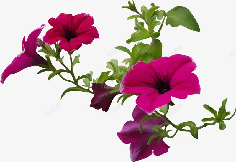 紫色喇叭花png免抠素材_88icon https://88icon.com 喇叭花 手绘 紫色 鲜花
