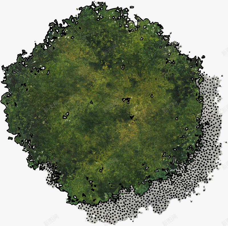 绿色植物俯视图png免抠素材_88icon https://88icon.com ps植物平面贴图 俯视图 植物 绿色 装饰