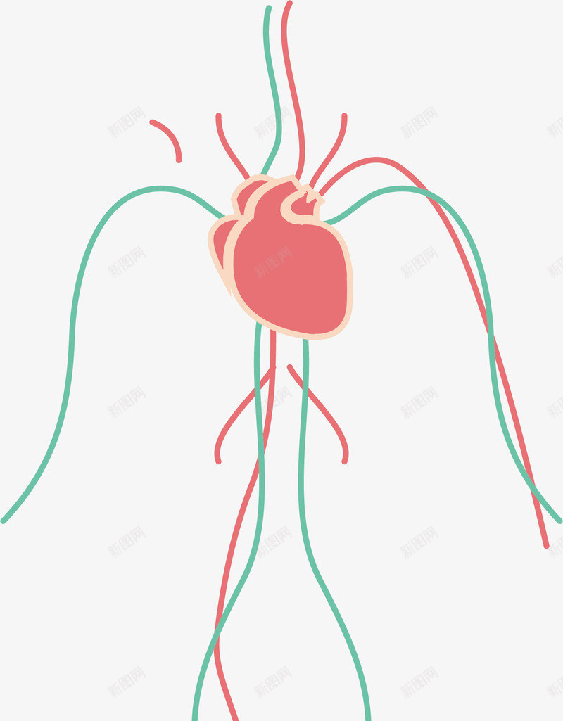 红心神经png免抠素材_88icon https://88icon.com 器官 生物医药 生物医药产业 生物医药展板 生物医药广告 生物医药整容 神经