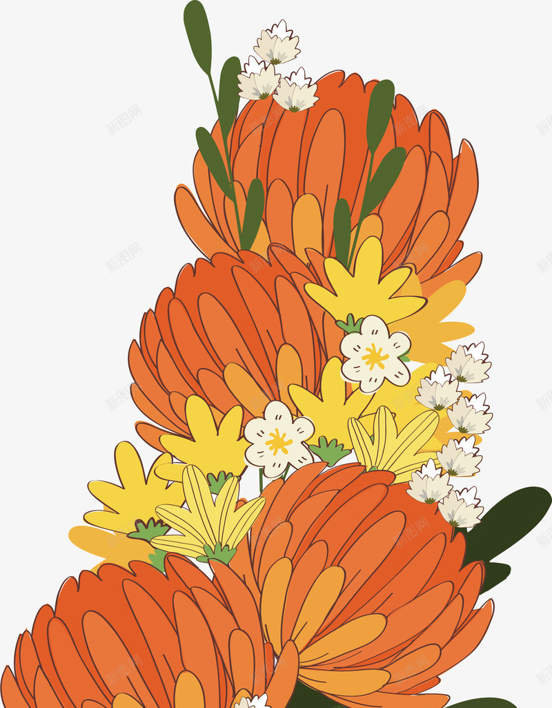 橘色的大力菊png免抠素材_88icon https://88icon.com 大力菊 橘色鲜花 浪漫鲜花 矢量素材