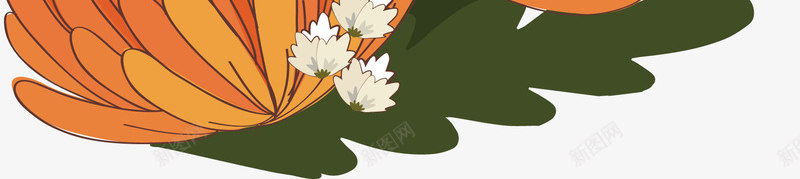 橘色的大力菊png免抠素材_88icon https://88icon.com 大力菊 橘色鲜花 浪漫鲜花 矢量素材