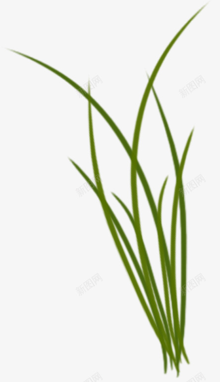 春天绿草植物背景透明png免抠素材_88icon https://88icon.com 植物 绿草 绿草植物 背景透明png图片