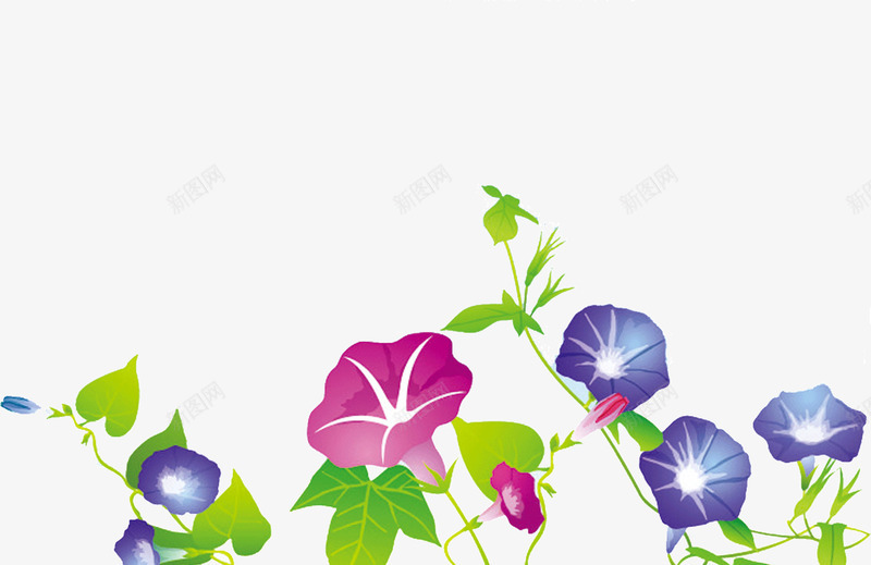 喇叭花花卉png免抠素材_88icon https://88icon.com 喇叭花 花卉 花朵