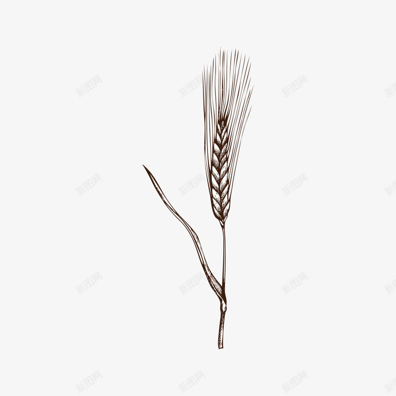 卡通手绘小麦叶子png免抠素材_88icon https://88icon.com 创意 动漫动画 卡通小麦 卡通手绘 叶子 简约