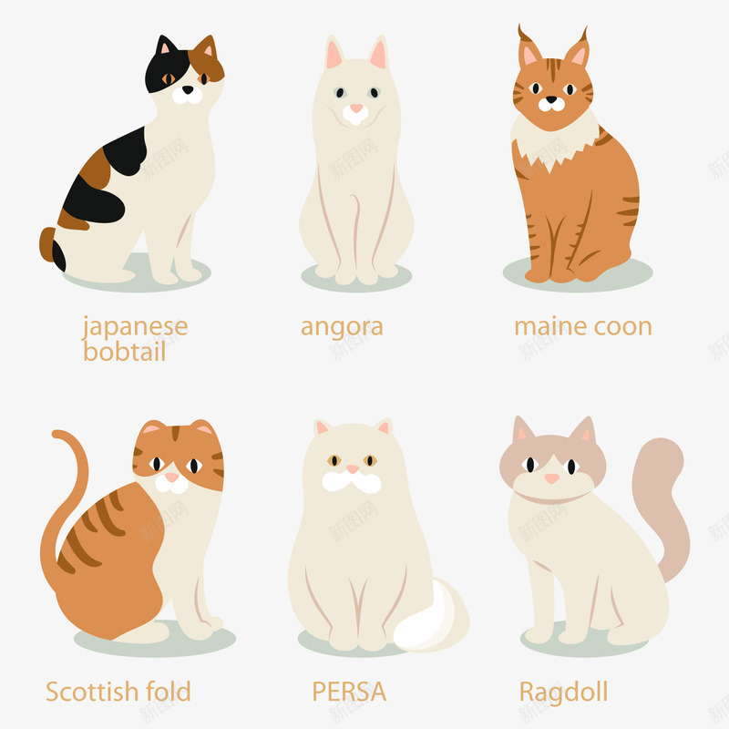 可爱猫咪png免抠素材_88icon https://88icon.com 安哥拉猫 宠物 布偶猫 波斯猫 波斯猫插画 猫