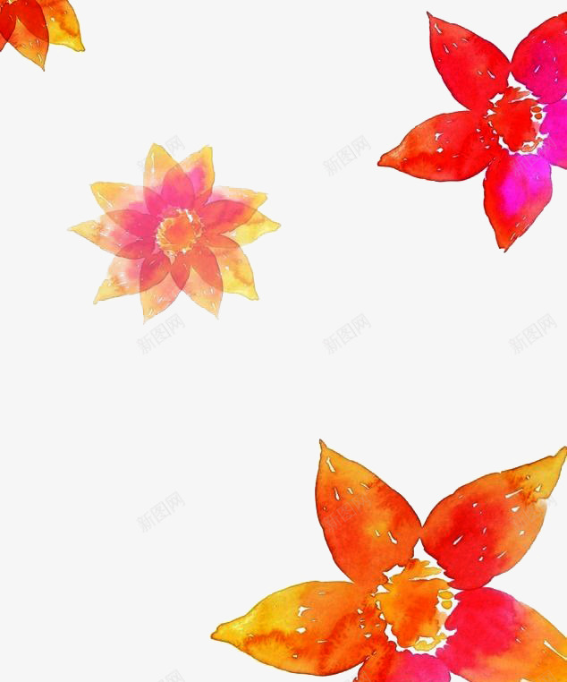橘色花朵边框png免抠素材_88icon https://88icon.com 小清新 暖色 橘色 背景 装饰 边框