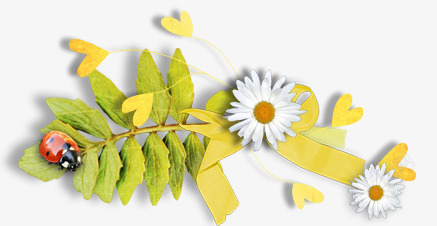 手绘装饰花卉画png免抠素材_88icon https://88icon.com 唯美花卉图片 手绘花草素材 花卉画 花草矢量图素材 花草线描 装饰