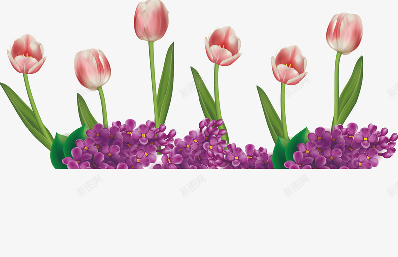 鲜花背景矢量图ai免抠素材_88icon https://88icon.com 玉兰花 百合花 紫色花矢量图 紫花 紫金花 鲜花 矢量图