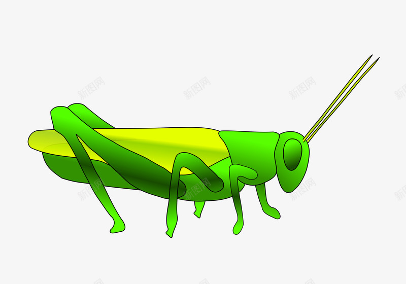 蚱蜢png免抠素材_88icon https://88icon.com 昆虫蚱蜢 蚂蚱 飞蝗