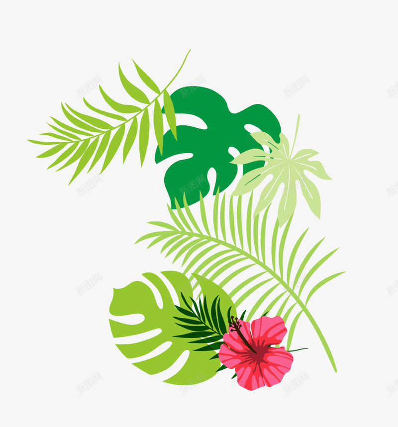 夏日清新热带植物png免抠素材_88icon https://88icon.com 夏日 清新 热带植物