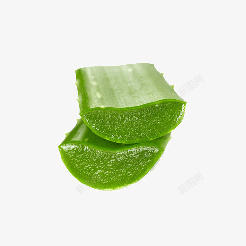 芦荟叶肉绿植物png免抠素材_88icon https://88icon.com 叶肉 植物 绿 芦荟