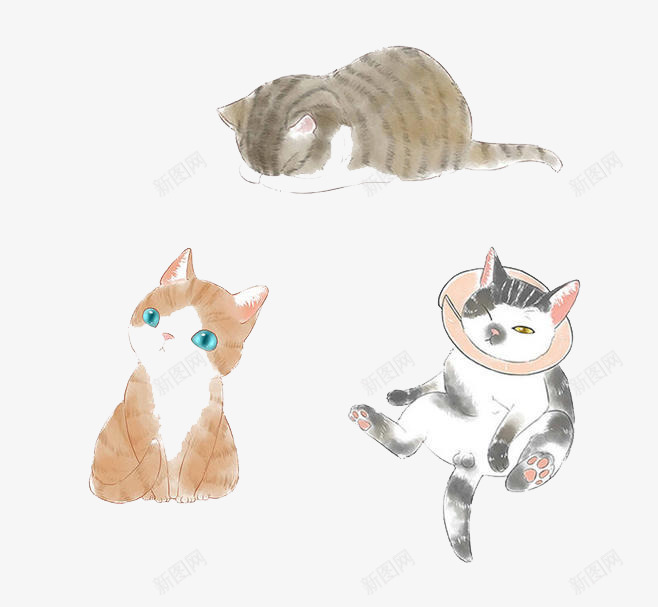 水彩猫咪png免抠素材_88icon https://88icon.com 动物 卡通 可爱 手绘 水彩 温柔 猫咪 装饰