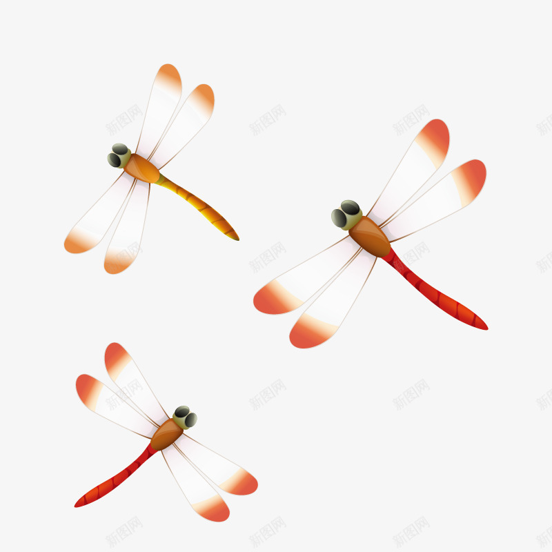 红色蜻蜓png免抠素材_88icon https://88icon.com 手绘 昆虫