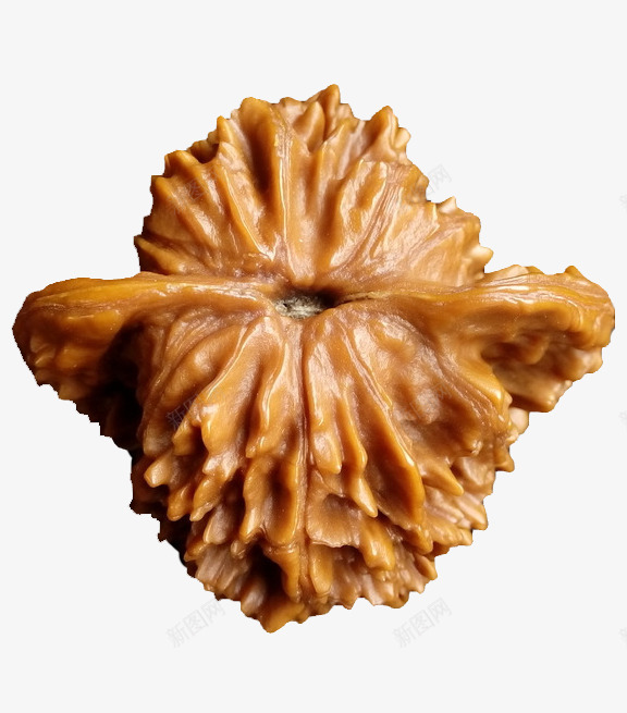 一个文玩核桃png免抠素材_88icon https://88icon.com 一个文玩核桃 产品实物 把件 把玩 摄影 收藏 文玩 文玩核桃