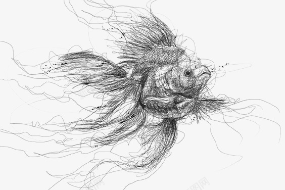 素描金鱼png免抠素材_88icon https://88icon.com 宠物鱼 小鱼 手绘 线条 金鱼简笔 黑白