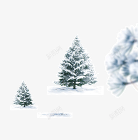 有雪的松树png免抠素材_88icon https://88icon.com 圣诞节 松树 绿色 雪