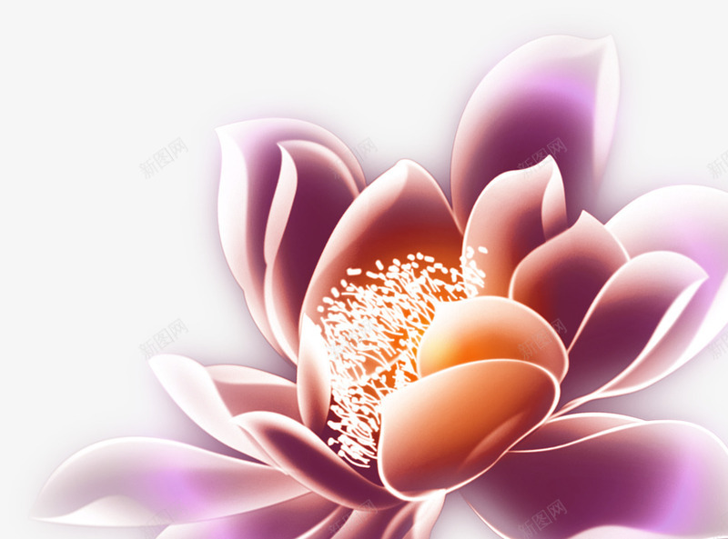 中秋节节日png免抠素材_88icon https://88icon.com 中秋节 团圆 团聚 节日 花 花朵 花瓣