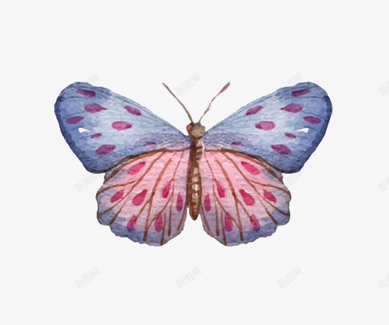 蓝色粉色拼接手绘蝴蝶翅膀png免抠素材_88icon https://88icon.com 免扣 平面设计 手绘 斑点 海报 粉色 翅膀 蓝色 装饰 高清