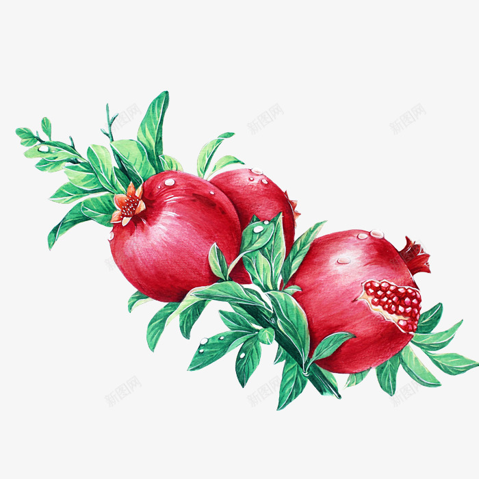 手绘石榴png免抠素材_88icon https://88icon.com PNG图形 PNG装饰 手绘 树叶 石榴 装饰