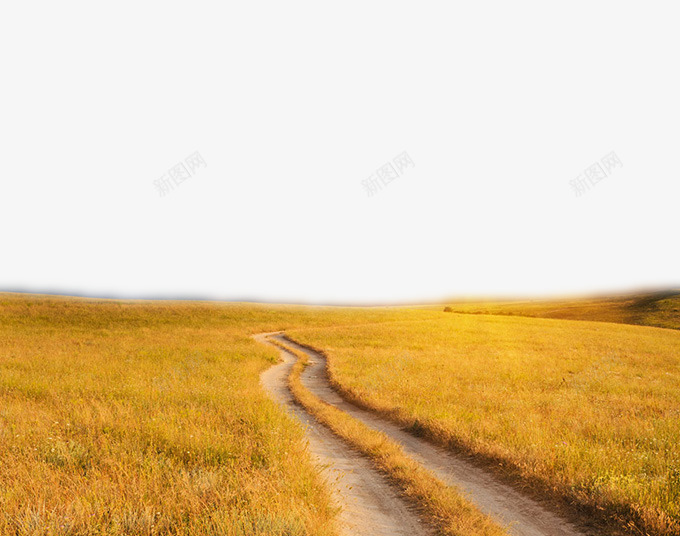 唯美的秋天麦田景色png免抠素材_88icon https://88icon.com 景色 秋天 秋天景色 麦田