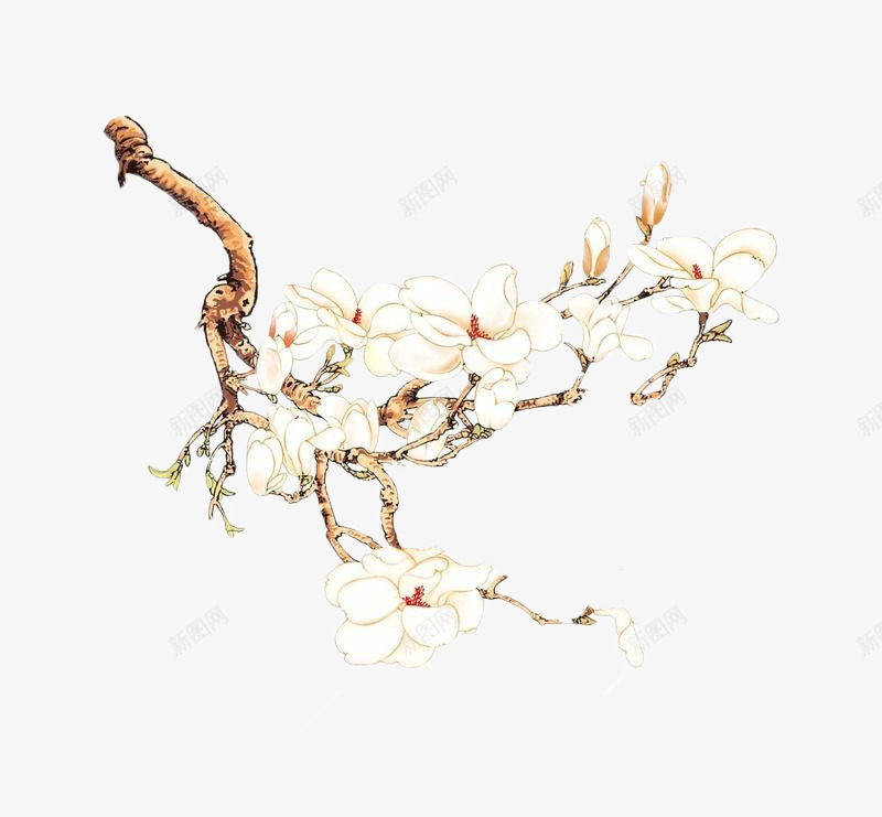 手绘山茶花png免抠素材_88icon https://88icon.com 唯美 山茶花 手绘 植物 淡雅 清新 白色 白色山茶花 纯洁 花卉 花朵