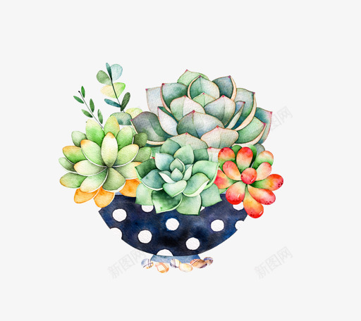 小清新插画广告卡通多肉盆栽png免抠素材_88icon https://88icon.com 卡通手绘装饰插画 多肉小清新插画 多肉植物 多肉植物促销宣传设计 广告设计 简约大气插画 绿色盆栽