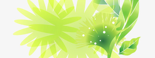 绿色植物展架模板png_88icon https://88icon.com X展架设计 x展架 展架 植物 海报素材 炫彩展架 绿色