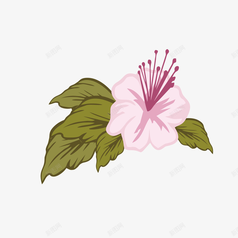 手绘杜鹃花花瓣多片叶子矢量图ai免抠素材_88icon https://88icon.com 卡通杜鹃花 唯美 带多片叶子 杜鹃花 杜鹃花瓣 矢量图 素雅 绽放 花瓣 花蕊