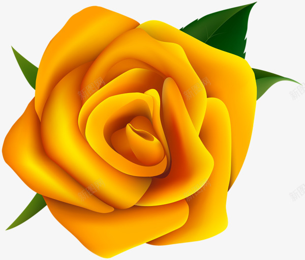 卡通的玫瑰啊png免抠素材_88icon https://88icon.com 玫瑰 美丽 花 花瓣