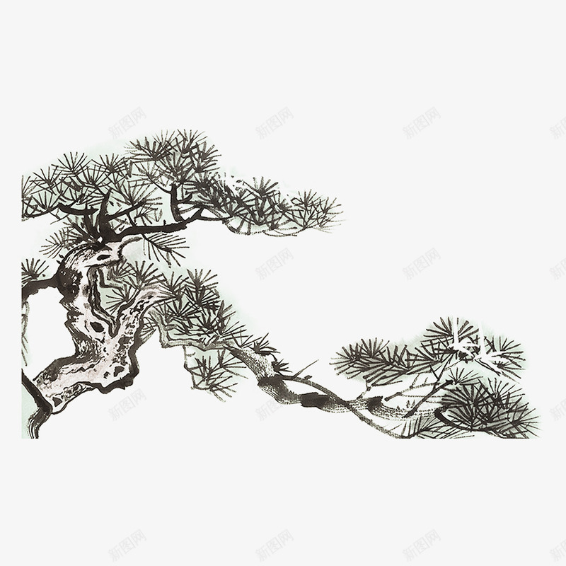灰色松树宪法日法制宣传日psd免抠素材_88icon https://88icon.com 宣传日 宪法日 弯曲 散布 日本松树 植物 法制 灰色 纹理 针叶