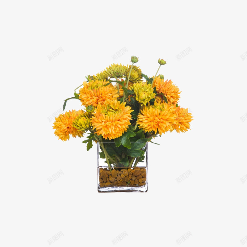欧美流行插花绿植物鲜花软装png免抠素材_88icon https://88icon.com 大气 概念方案装饰 欧美软装设计方案素材 玻璃瓶 精美 精致 美化艺术 软装 软装设计 软装配饰 高品质 高精度 高质量