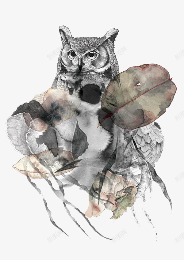 灰色水印猫头鹰psd免抠素材_88icon https://88icon.com 水印 灰色 猫头鹰 简约
