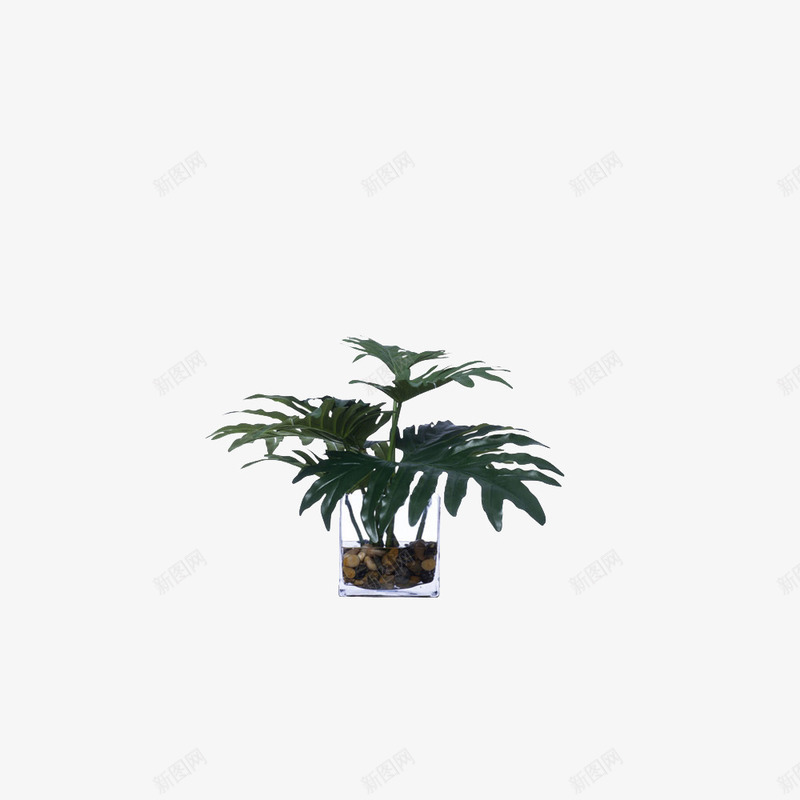 欧美流行插花绿植物鲜花软装png免抠素材_88icon https://88icon.com 大气 概念方案装饰 欧美流行插花 欧美软装设计方案素材 玻璃瓶 精美 精致 绿植物 美化艺术 艺术插花 花艺艺术免费下载 软装 软装设计 软装配饰 高品质 高精度 高质量 鲜花软装配饰